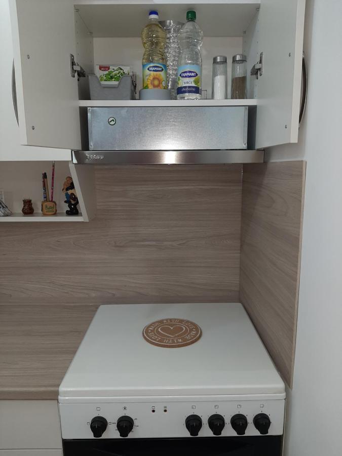 Apartman Viaggio Sremska Mitrovica Exterior foto